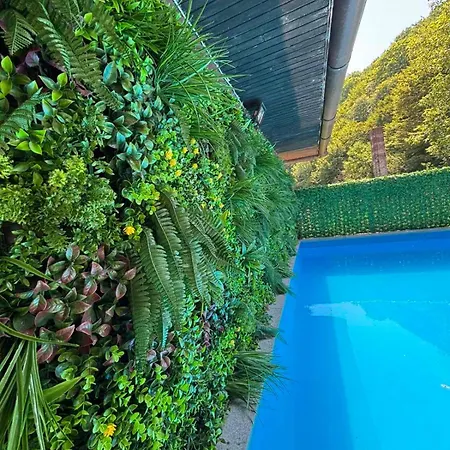 Lavanda House 아파트